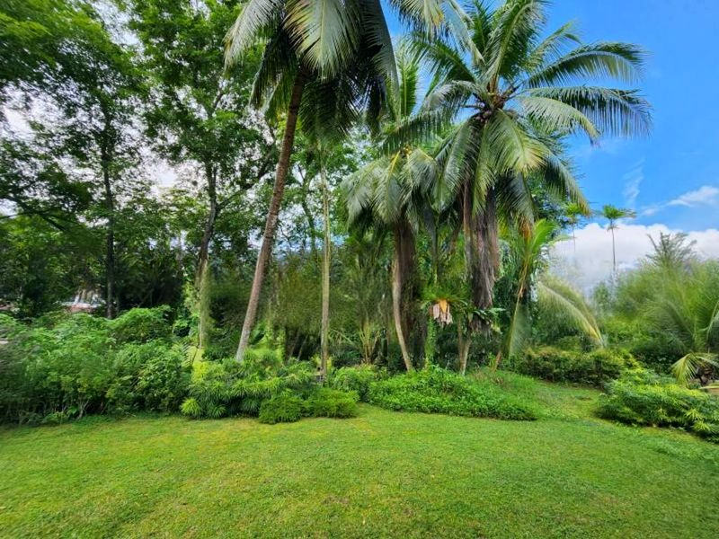 TANGLIN HILL VILLAS 7