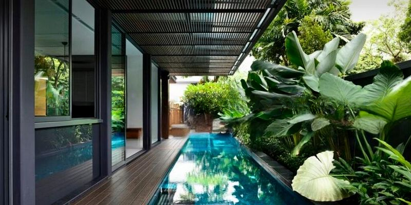 KING'S GARDEN 2