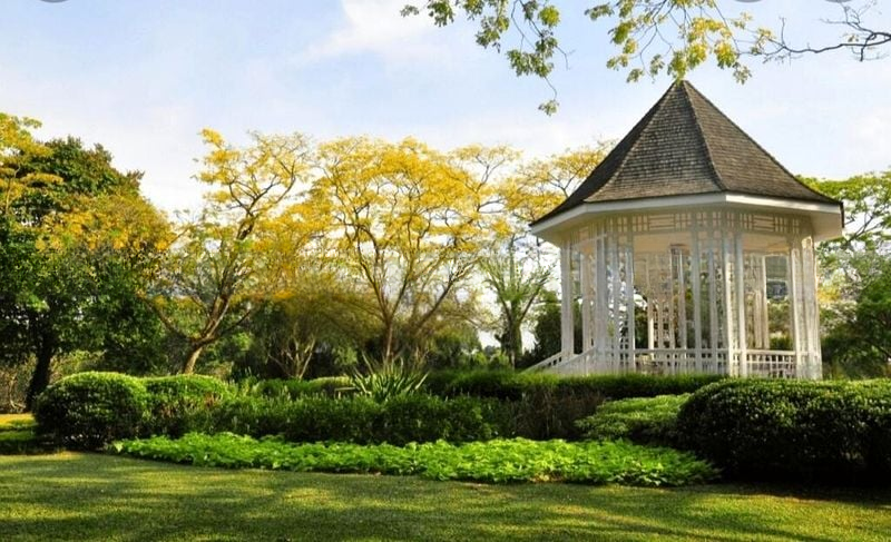 KING'S GARDEN 1