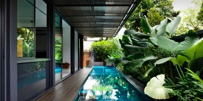KING'S GARDEN 6