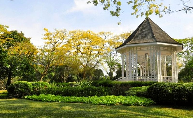 KING'S GARDEN 9