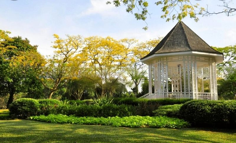 KING'S GARDEN 13