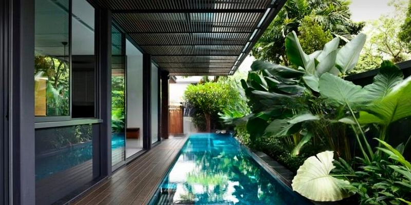 KING'S GARDEN 14