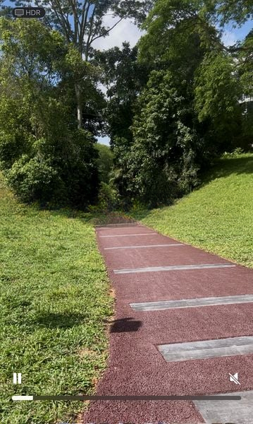 KINGSFORD . HILLVIEW PEAK 12