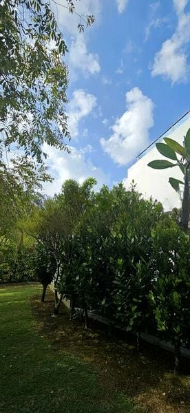 MARINA COLLECTION 10