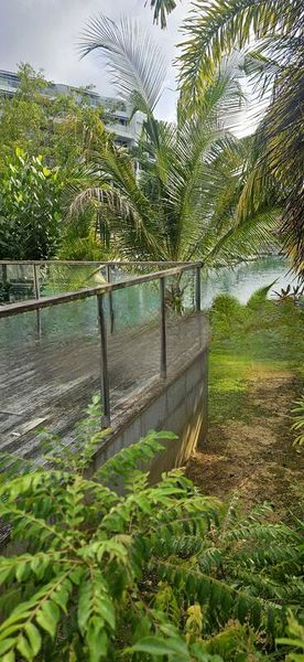 MARINA COLLECTION 13