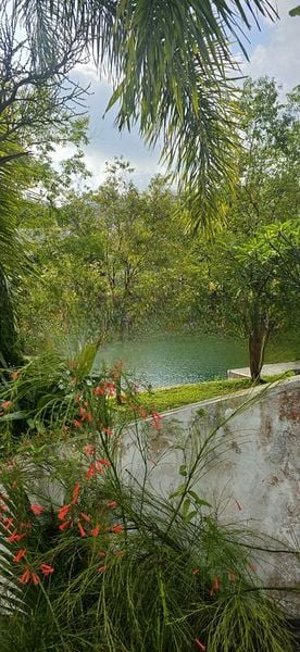 MARINA COLLECTION 14