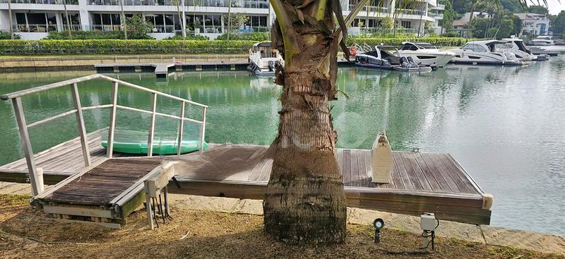 MARINA COLLECTION 12