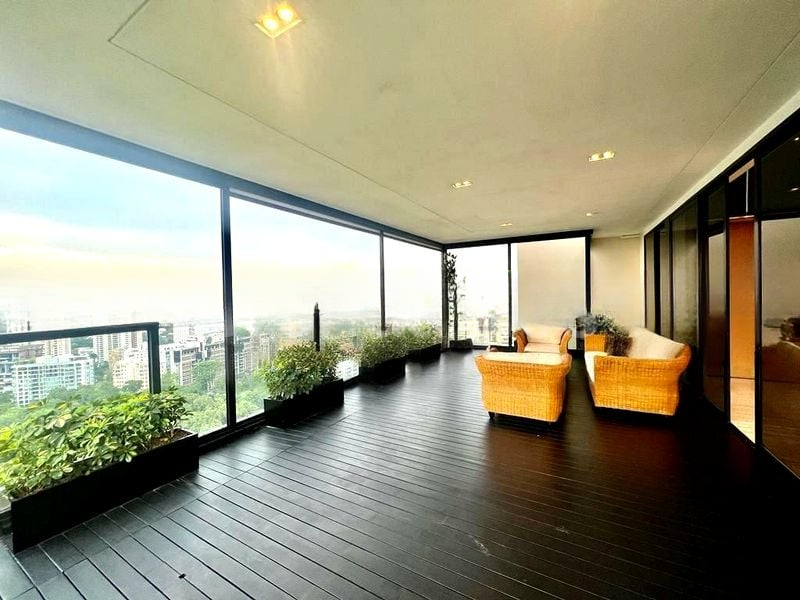 REIGNWOOD HAMILTON SCOTTS 9