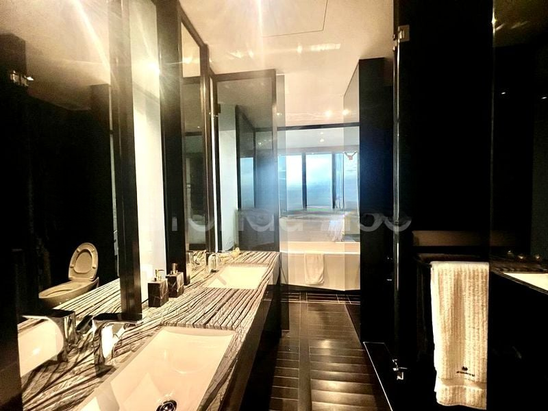 REIGNWOOD HAMILTON SCOTTS 12