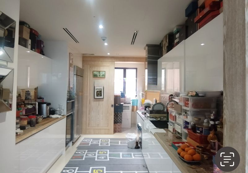 THE RITZ-CARLTON RESIDENCES SINGAPORE CAIRNHILL 2