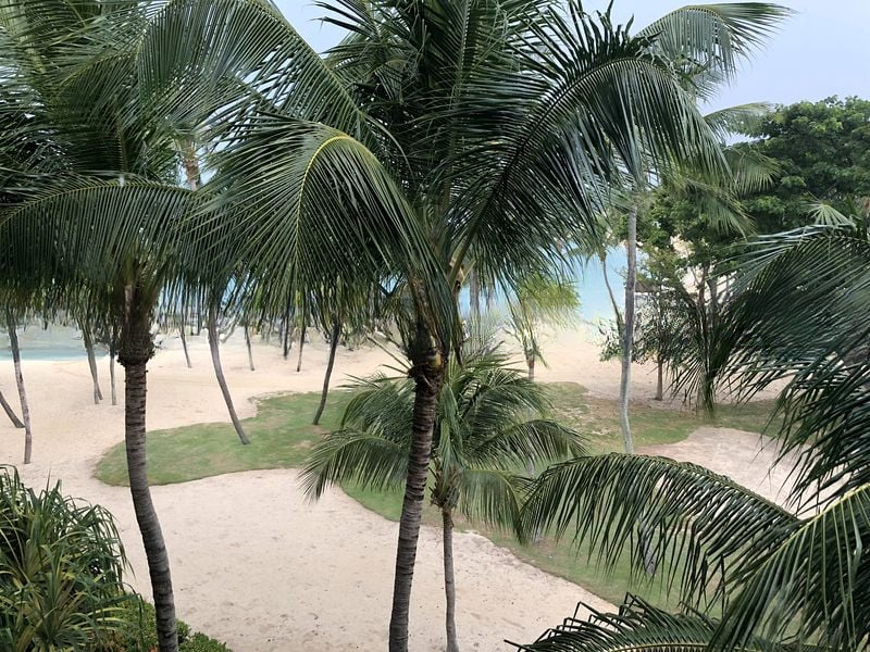 SEVEN PALMS SENTOSA COVE 1