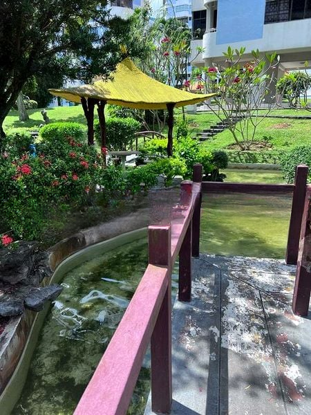 FAR HORIZON GARDENS 12