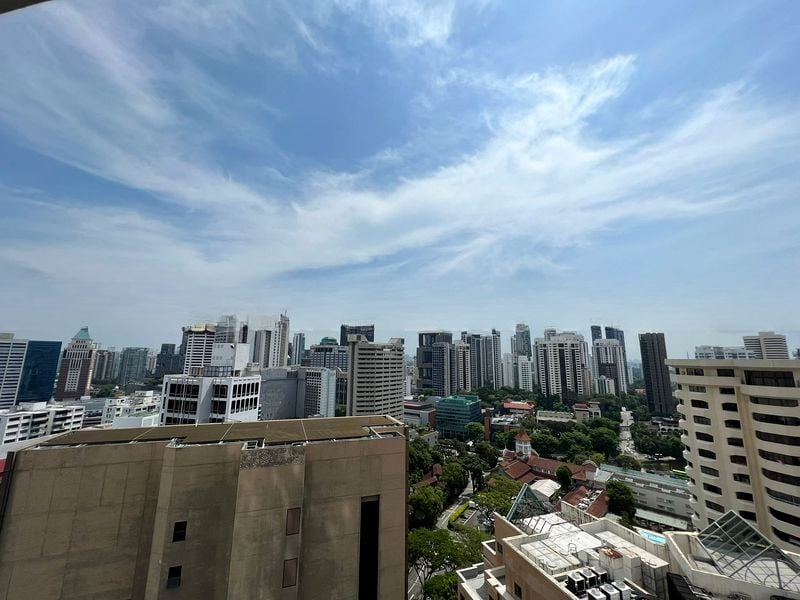 THE RITZ-CARLTON RESIDENCES SINGAPORE CAIRNHILL 3