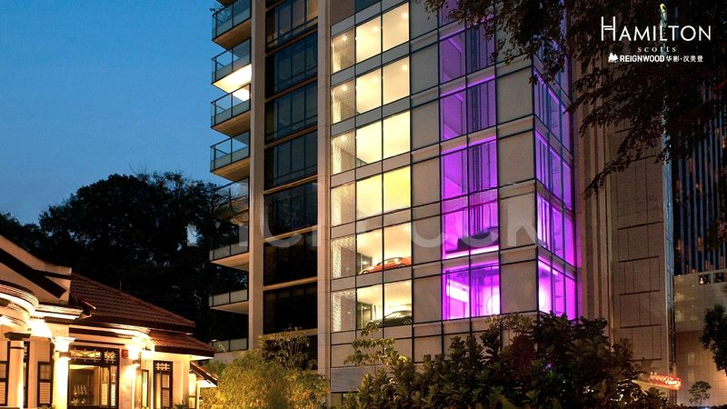 REIGNWOOD HAMILTON SCOTTS 5