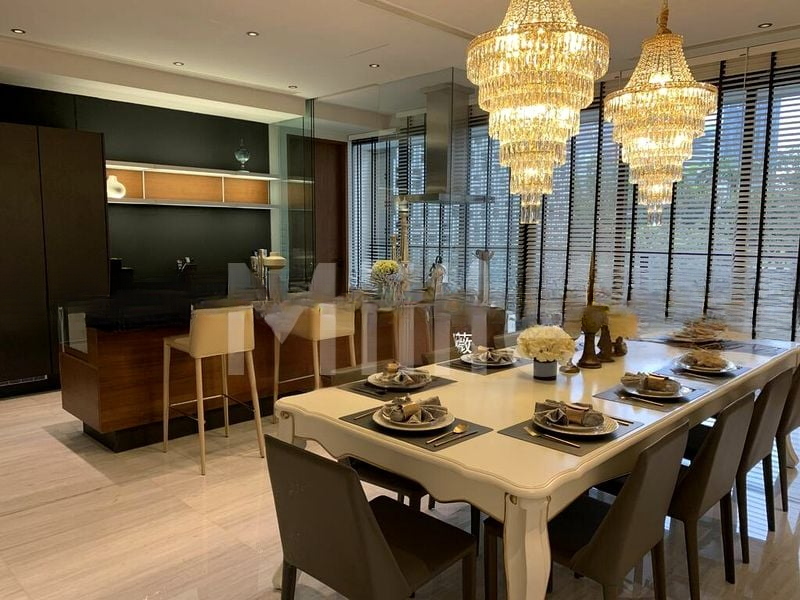 REIGNWOOD HAMILTON SCOTTS 2