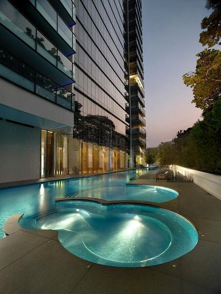 REIGNWOOD HAMILTON SCOTTS 12