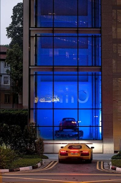 REIGNWOOD HAMILTON SCOTTS 13