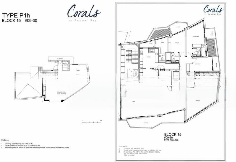 CORALS AT KEPPEL BAY 8