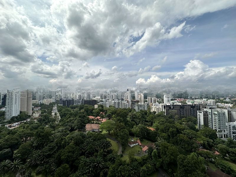 REIGNWOOD HAMILTON SCOTTS 4