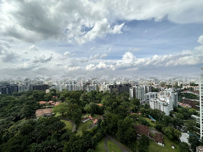 REIGNWOOD HAMILTON SCOTTS 3