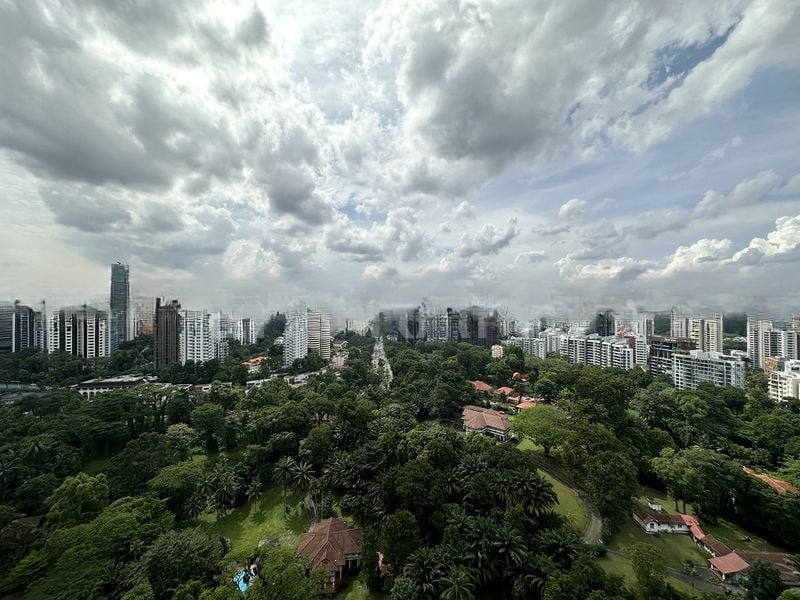 REIGNWOOD HAMILTON SCOTTS 2