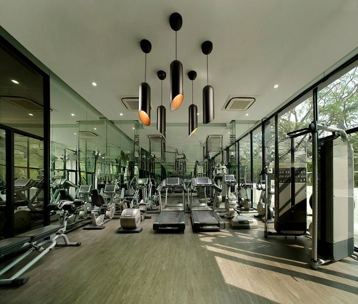 REIGNWOOD HAMILTON SCOTTS 5