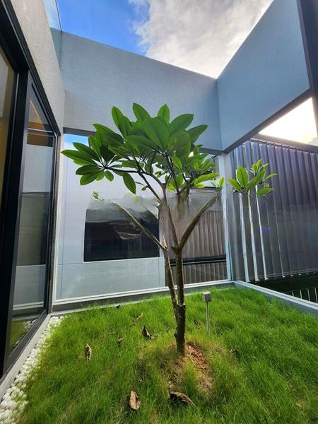 KOVAN RESIDENCES 5