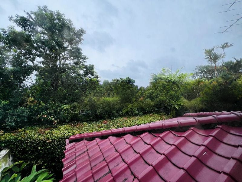 TUDOR VIEW 6