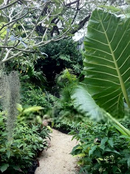 CHENG SOON GARDEN 3