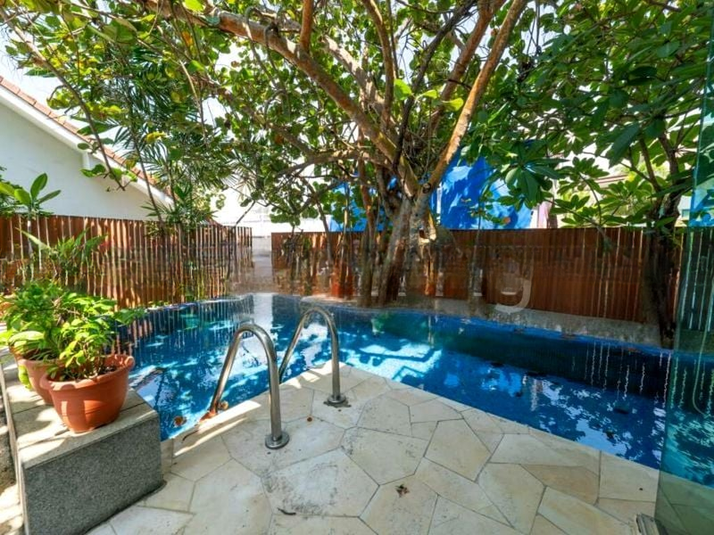 SPRINGVALE 7
