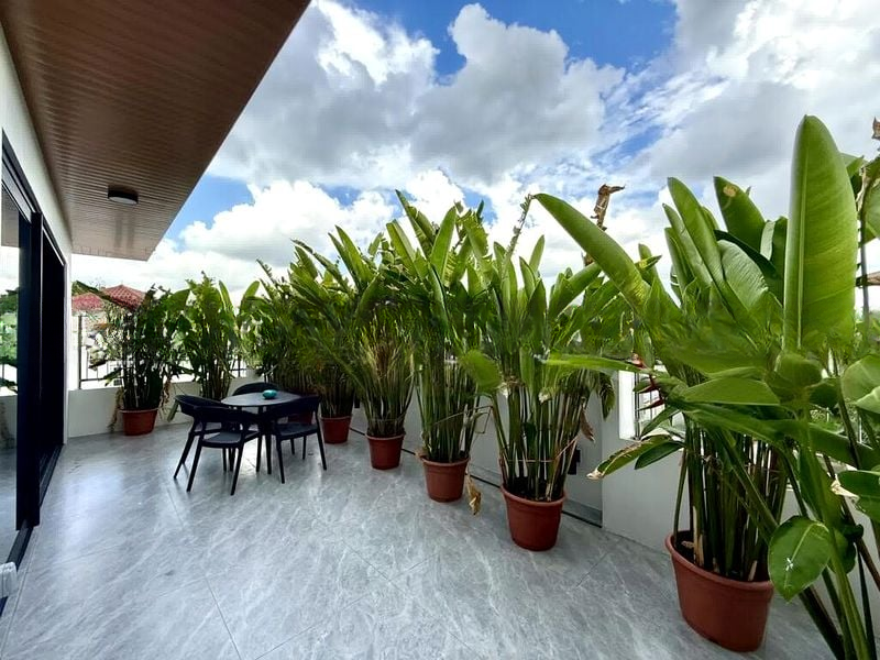 CHUAN GREEN 10