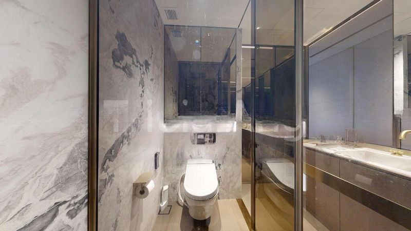 REIGNWOOD HAMILTON SCOTTS 13