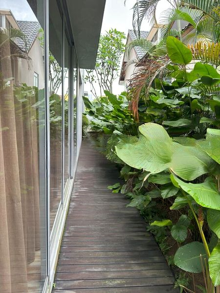 HOLLAND GARDENS 4