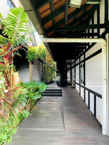 HOLLAND GROVE PARK 6