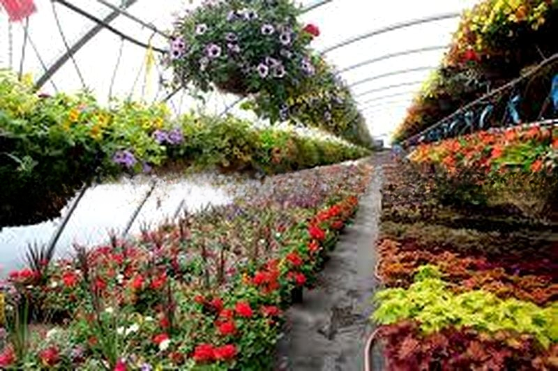 CALDECOTT HILL ESTATE 2