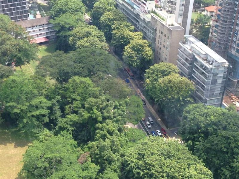 THE ORCHARD RESIDENCES 10