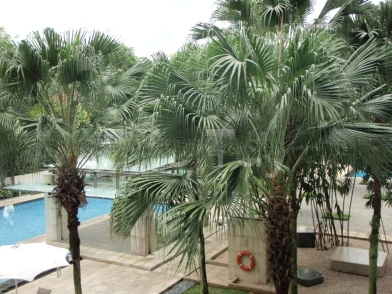 GRANGE RESIDENCES 14