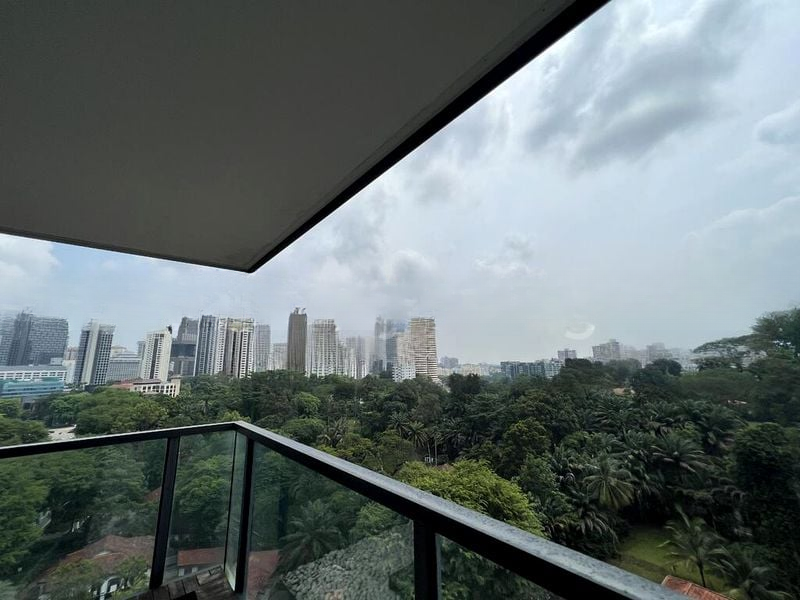 REIGNWOOD HAMILTON SCOTTS 10