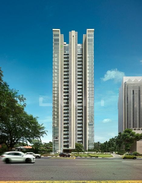 REIGNWOOD HAMILTON SCOTTS 12