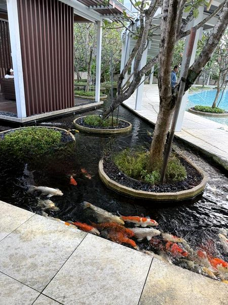 THE ORCHARD RESIDENCES 2