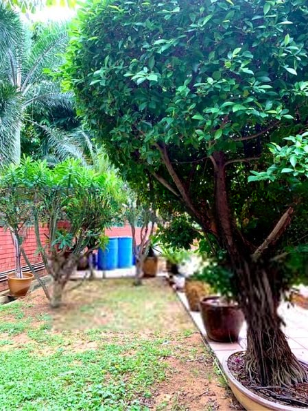 COMFORT GARDEN 5