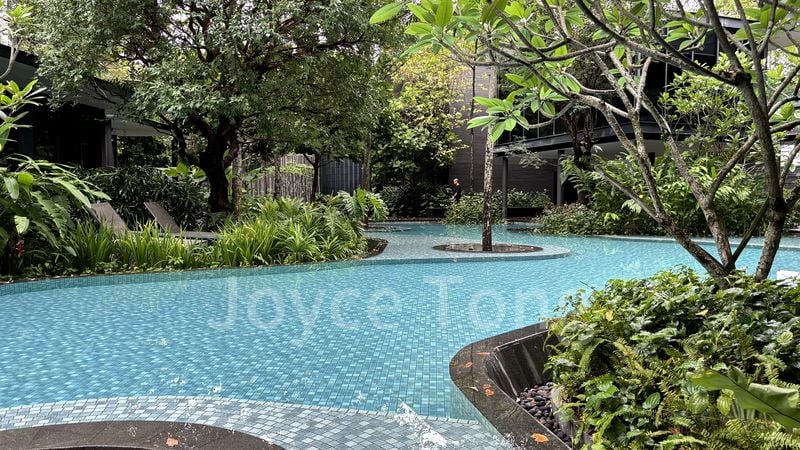 THE CLEMENT CANOPY 12