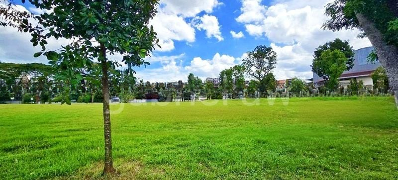 ROSALIA PARK 1