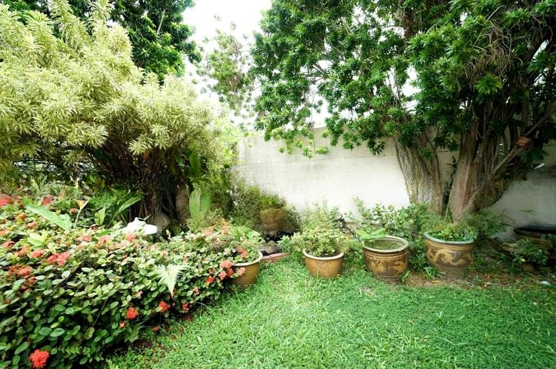 SEA BREEZE TERRACE 10