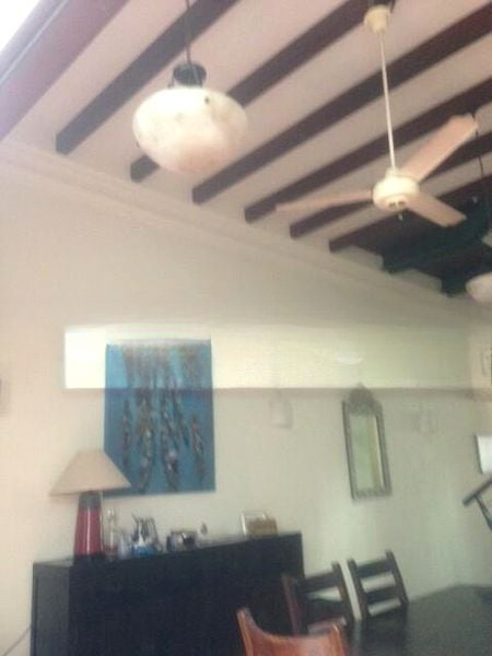 BLAIR PLAIN CONSERVATION AREA 2