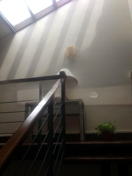 BLAIR PLAIN CONSERVATION AREA 14