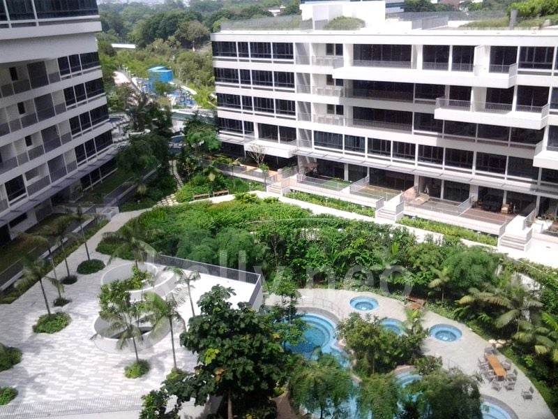 THE INTERLACE 3