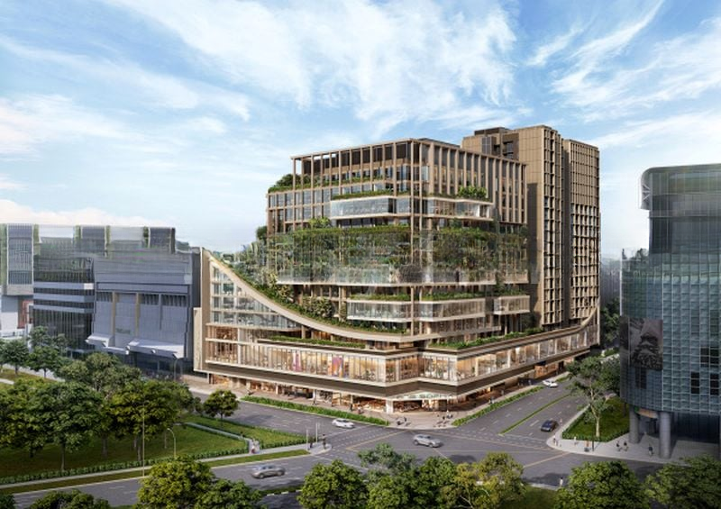 THE COLLECTIVE AT ONE SOPHIA 4