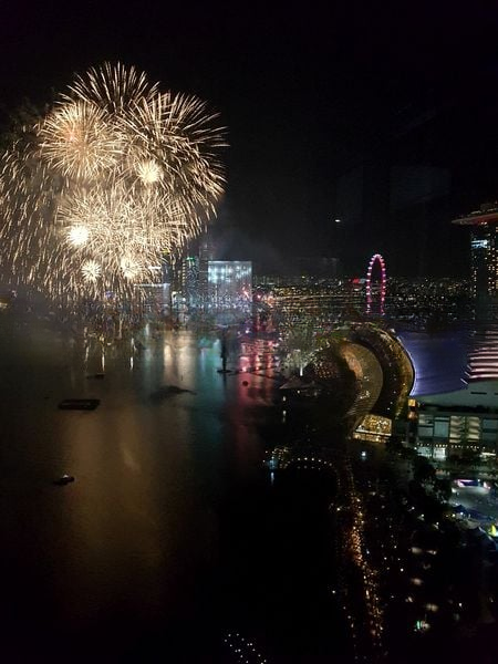 MARINA BAY RESIDENCES 8